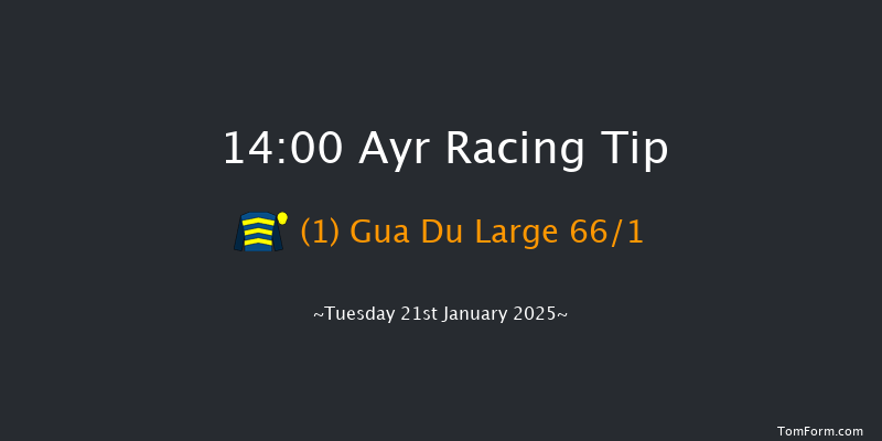Ayr  14:00 Handicap Chase (Class 4) 16f Mon 20th Jan 2025