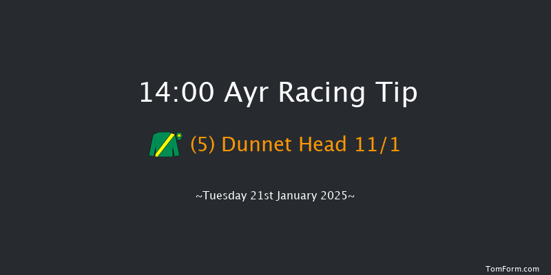 Ayr  14:00 Handicap Chase (Class 4) 16f Mon 20th Jan 2025
