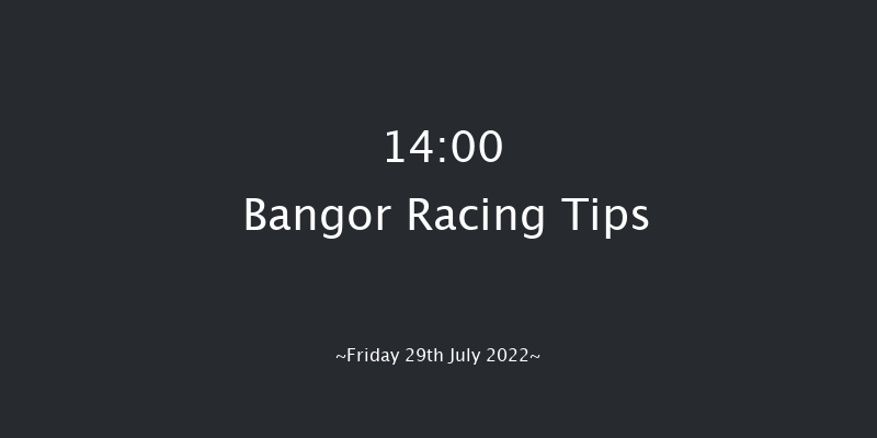 Bangor 14:00 Handicap Hurdle (Class 5) 23f Tue 24th May 2022