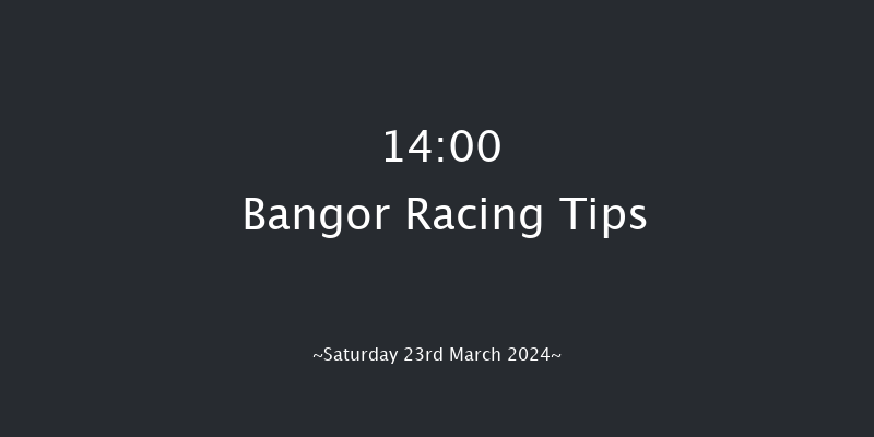 Bangor-on-dee  14:00 Handicap Hurdle (Class
4) 17f Wed 28th Feb 2024