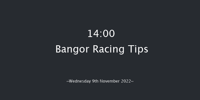 Bangor 14:00 Handicap Chase (Class 2) 24f Tue 25th Oct 2022