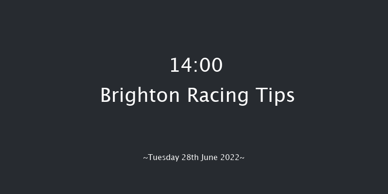 Brighton 14:00 Handicap (Class 6) 8f Tue 21st Jun 2022
