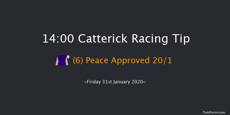 Catterick 14:00 Handicap Chase (Class 4) 16f Wed 22nd Jan 2020