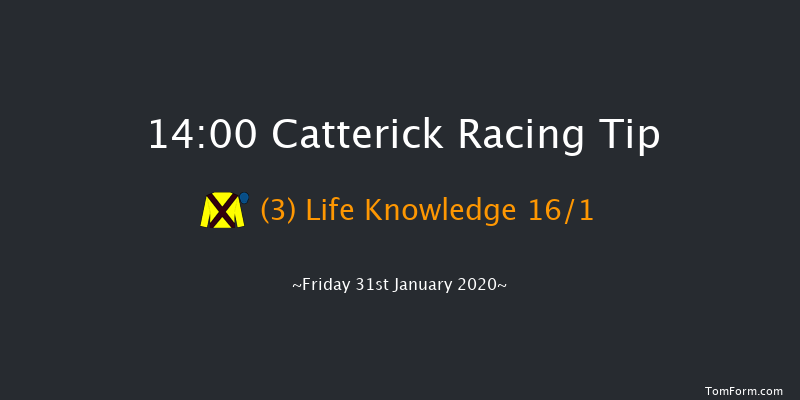 Catterick 14:00 Handicap Chase (Class 4) 16f Wed 22nd Jan 2020