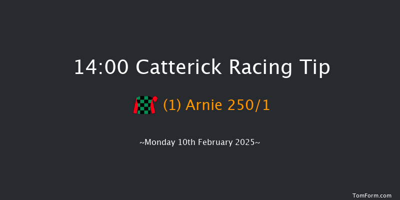 Catterick  14:00 Maiden Hurdle (Class 4) 25f Fri 31st Jan 2025