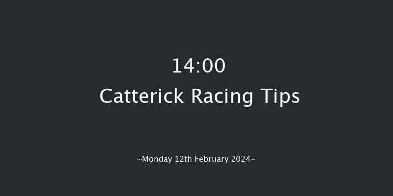 Catterick  14:00 Handicap Hurdle (Class 4)
19f Fri 2nd Feb 2024