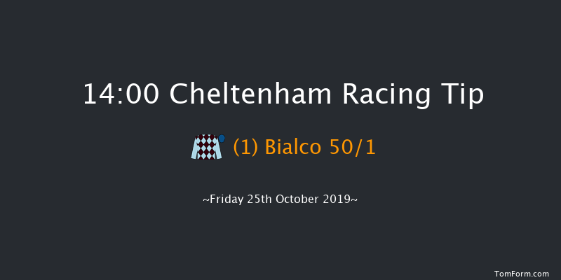 Cheltenham 14:00 Maiden Hurdle (Class 2) 21f Thu 1st Jan 1970