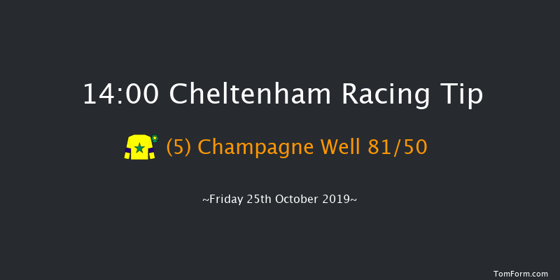 Cheltenham 14:00 Maiden Hurdle (Class 2) 21f Thu 1st Jan 1970