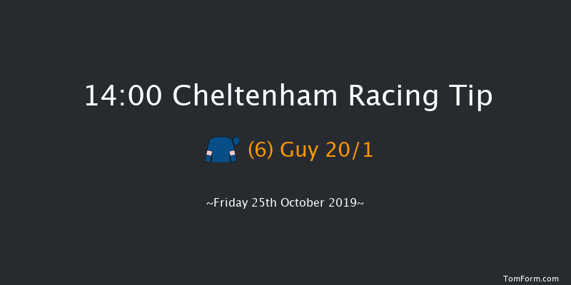 Cheltenham 14:00 Maiden Hurdle (Class 2) 21f Thu 1st Jan 1970
