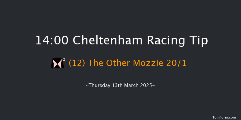 Cheltenham  14:00 Handicap Chase (Class 1) 21f Wed 12th Mar 2025