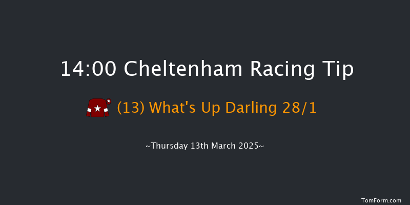 Cheltenham  14:00 Handicap Chase (Class 1) 21f Wed 12th Mar 2025