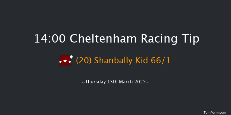 Cheltenham  14:00 Handicap Chase (Class 1) 21f Wed 12th Mar 2025