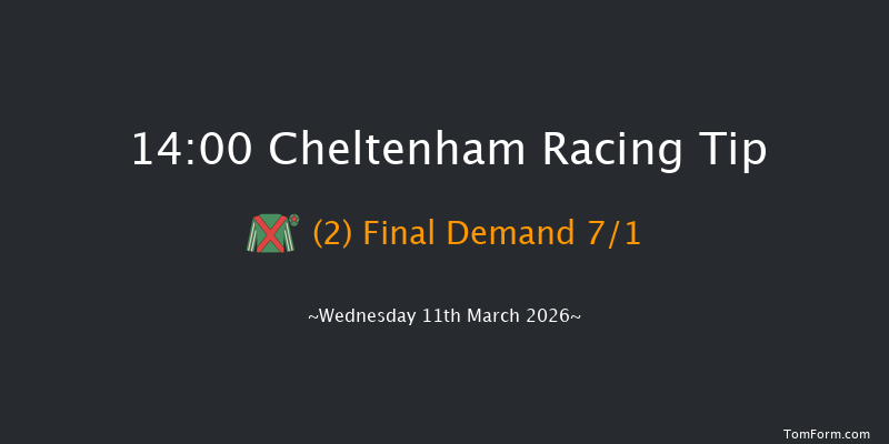 Cheltenham 14-00 (Class 1) 25f Tue 10th Mar 2026