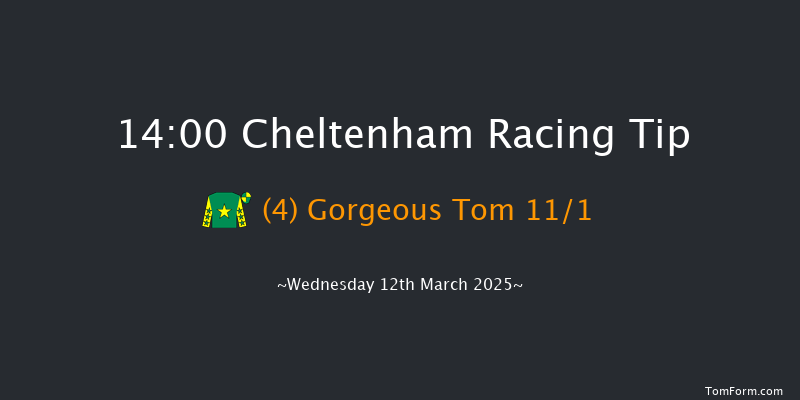 Cheltenham  14:00 Novices Chase (Class 1) 24f Tue 11th Mar 2025