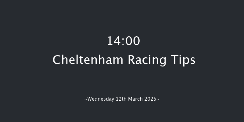 Cheltenham  14:00 Novices Chase (Class 1) 24f Tue 11th Mar 2025