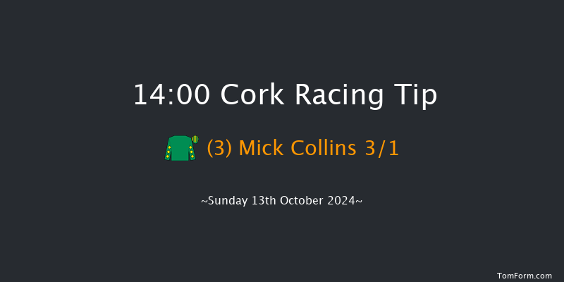 Cork  14:00 Maiden Hurdle 16f Tue 1st Oct 2024