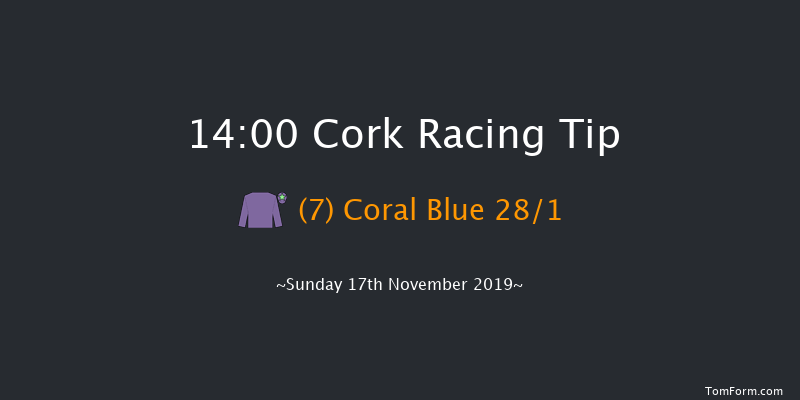 Cork 14:00 Handicap Hurdle 20f Sun 3rd Nov 2019