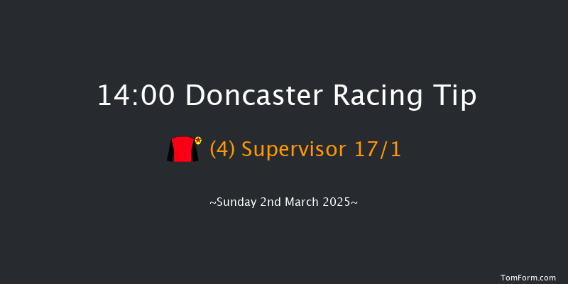 Doncaster  14:00 Handicap Chase (Class 3) 24f Sat 1st Mar 2025