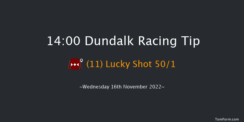 Dundalk 14:00 Handicap 16f Fri 11th Nov 2022