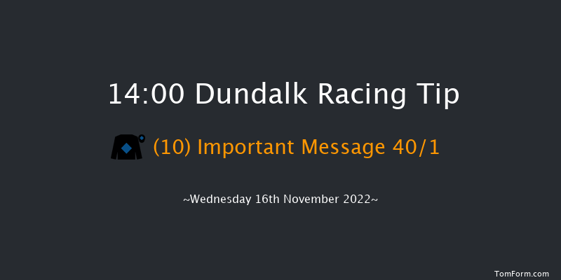 Dundalk 14:00 Handicap 16f Fri 11th Nov 2022