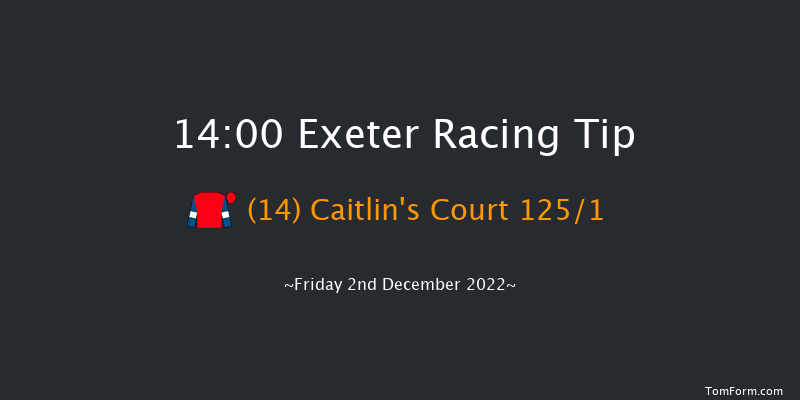 Exeter 14:00 Novices Hurdle (Class 4) 17f Sun 20th Nov 2022