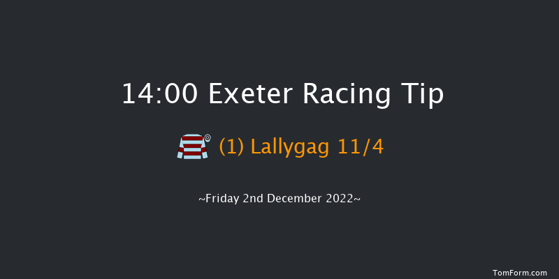 Exeter 14:00 Novices Hurdle (Class 4) 17f Sun 20th Nov 2022