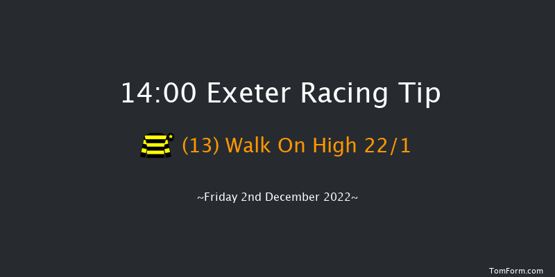 Exeter 14:00 Novices Hurdle (Class 4) 17f Sun 20th Nov 2022