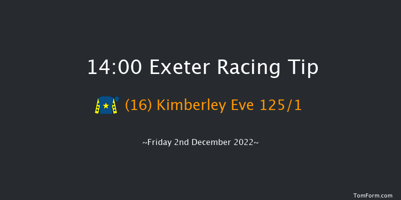 Exeter 14:00 Novices Hurdle (Class 4) 17f Sun 20th Nov 2022
