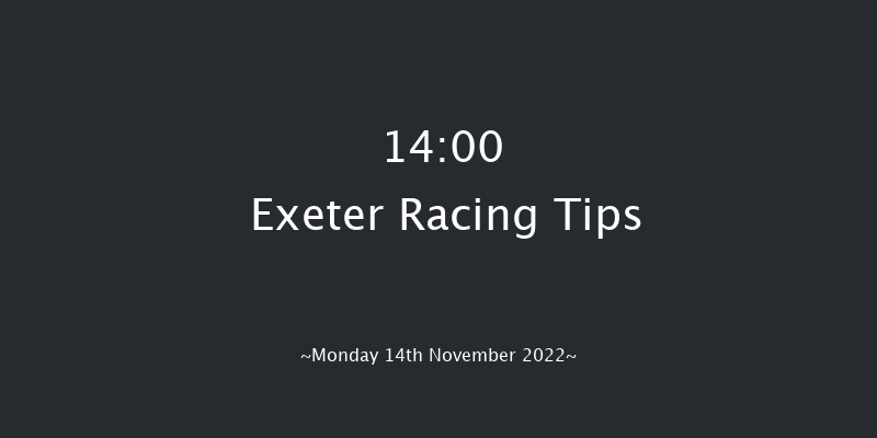 Exeter 14:00 Maiden Hurdle (Class 4) 17f Fri 4th Nov 2022