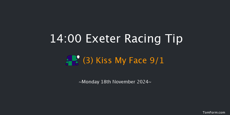 Exeter  14:00 Handicap Hurdle (Class 4) 23f  Fri 8th Nov 2024