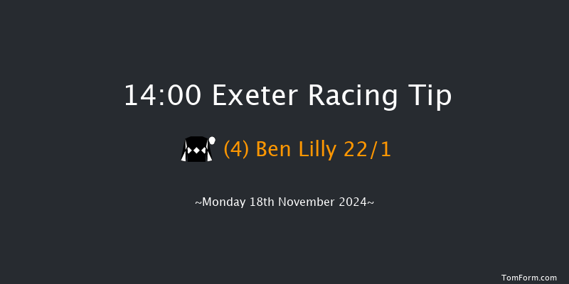 Exeter  14:00 Handicap Hurdle (Class 4) 23f  Fri 8th Nov 2024