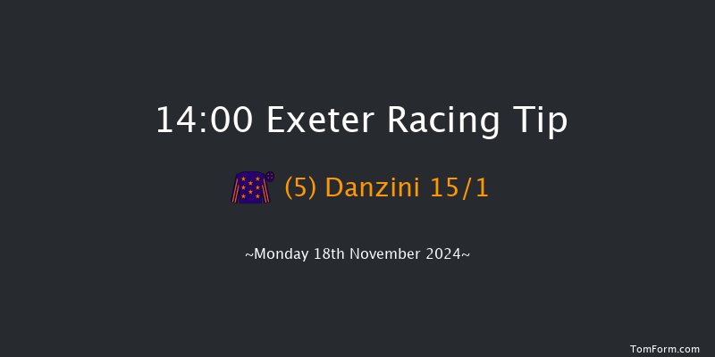 Exeter  14:00 Handicap Hurdle (Class 4) 23f  Fri 8th Nov 2024