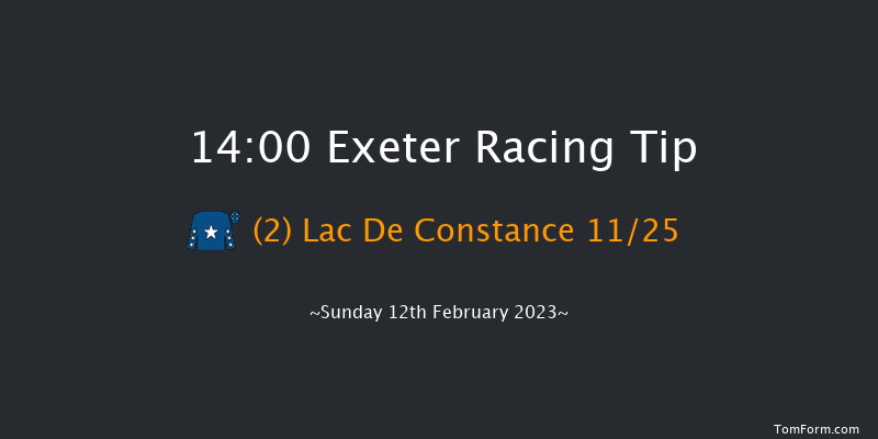Exeter 14:00 Maiden Chase (Class 3) 19f Wed 1st Feb 2023