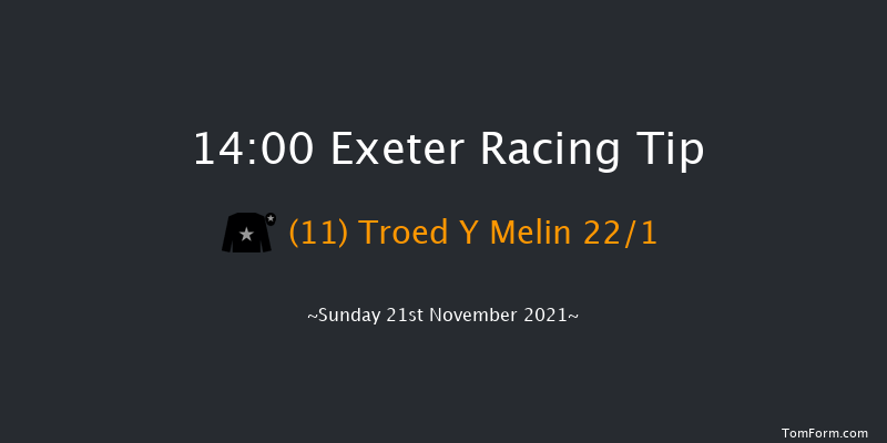 Exeter 14:00 Handicap Chase (Class 3) 24f Wed 10th Nov 2021