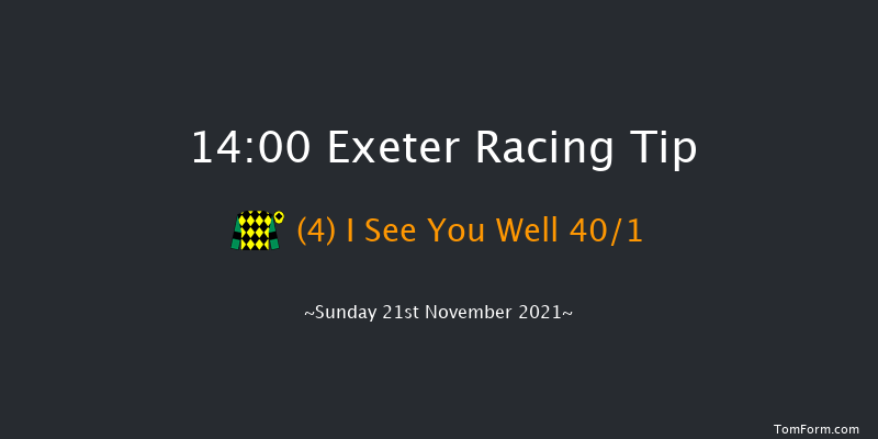 Exeter 14:00 Handicap Chase (Class 3) 24f Wed 10th Nov 2021