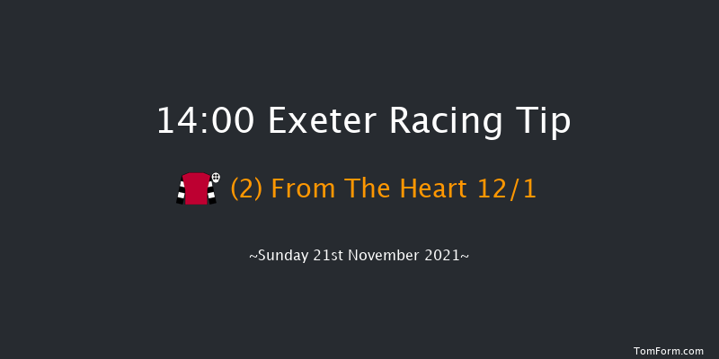 Exeter 14:00 Handicap Chase (Class 3) 24f Wed 10th Nov 2021
