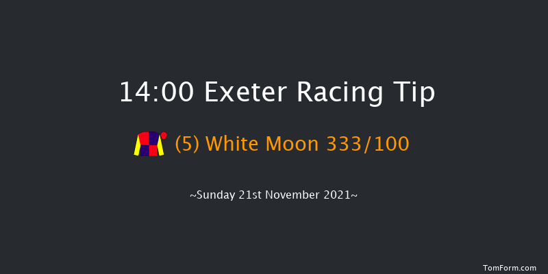 Exeter 14:00 Handicap Chase (Class 3) 24f Wed 10th Nov 2021