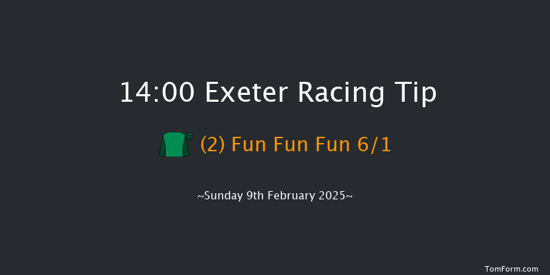 Exeter  14:00 Novices Chase (Class 1) 18f Mon 13th Jan 2025