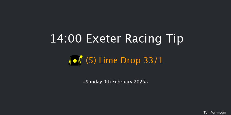 Exeter  14:00 Novices Chase (Class 1) 18f Mon 13th Jan 2025