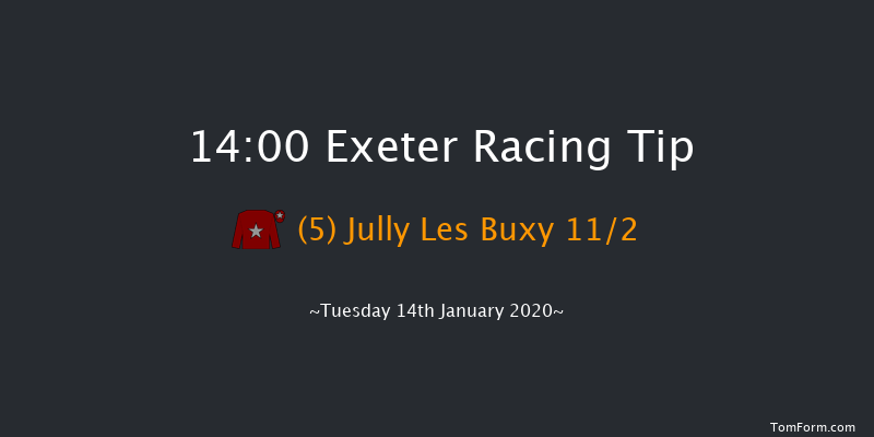 Exeter 14:00 Handicap Hurdle (Class 4) 23f Wed 1st Jan 2020
