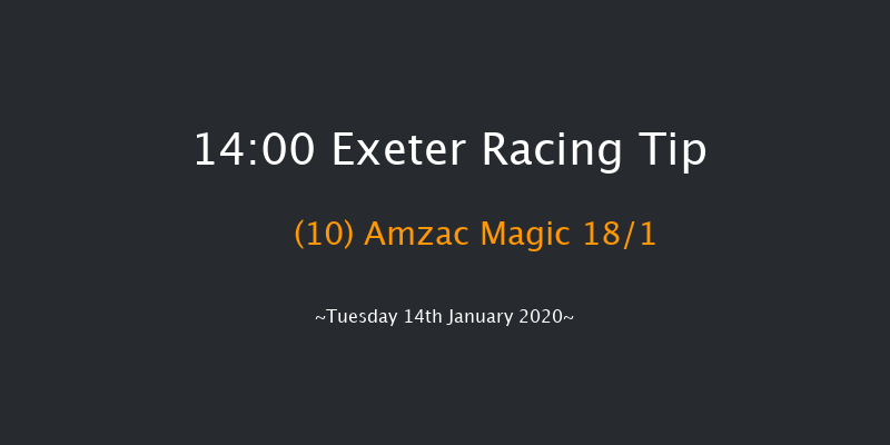 Exeter 14:00 Handicap Hurdle (Class 4) 23f Wed 1st Jan 2020