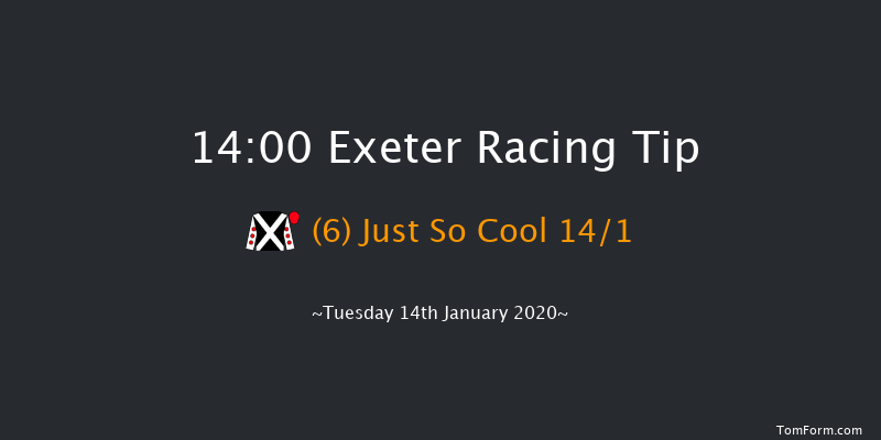 Exeter 14:00 Handicap Hurdle (Class 4) 23f Wed 1st Jan 2020
