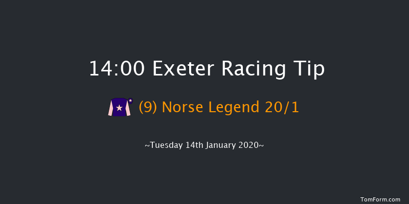 Exeter 14:00 Handicap Hurdle (Class 4) 23f Wed 1st Jan 2020