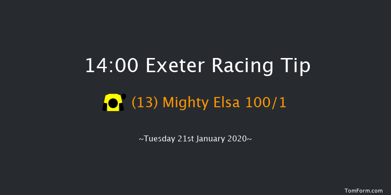 Exeter 14:00 Maiden Hurdle (Class 4) 17f Wed 1st Jan 2020