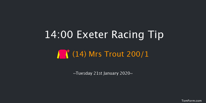 Exeter 14:00 Maiden Hurdle (Class 4) 17f Wed 1st Jan 2020