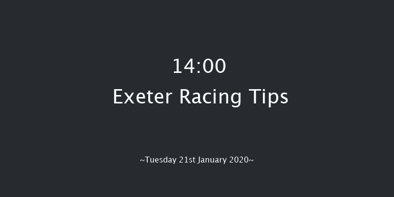 Exeter 14:00 Maiden Hurdle (Class 4) 17f Wed 1st Jan 2020