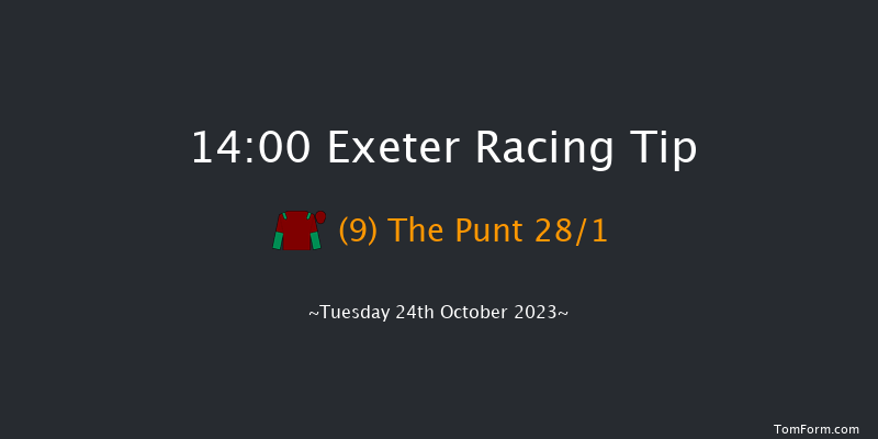Exeter 14:00 Handicap Hurdle (Class 5) 18f Thu 12th Oct 2023