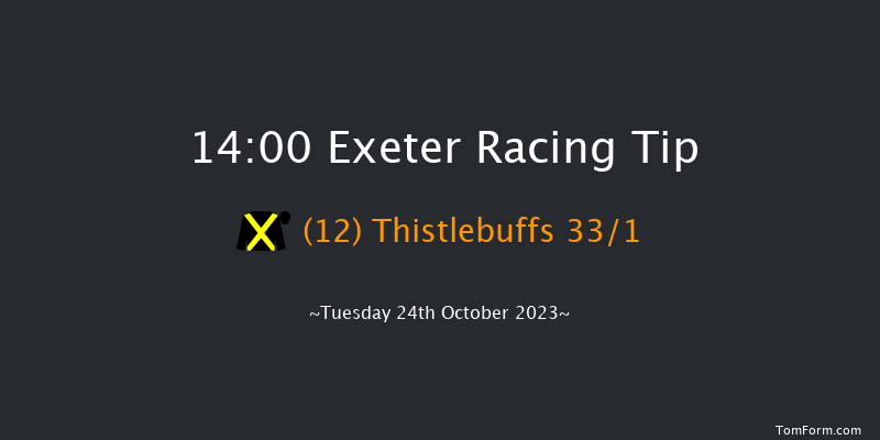 Exeter 14:00 Handicap Hurdle (Class 5) 18f Thu 12th Oct 2023