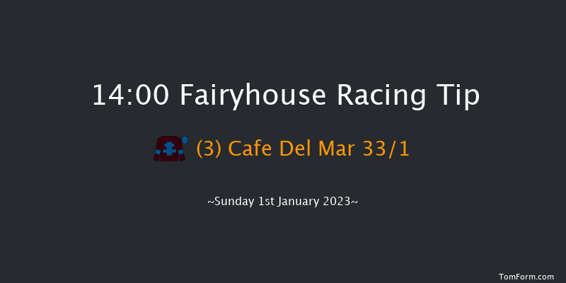Fairyhouse 14:00 Handicap Hurdle 24f Wed 21st Dec 2022