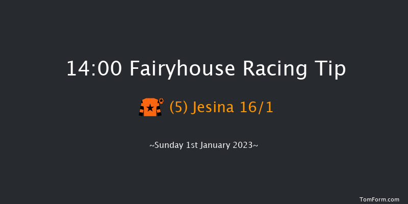 Fairyhouse 14:00 Handicap Hurdle 24f Wed 21st Dec 2022
